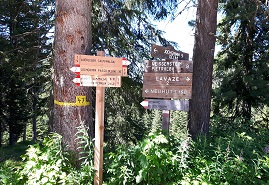 segnaletica 